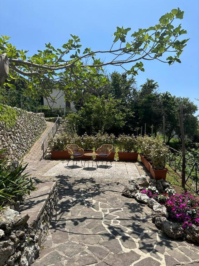 Maera B&B Ραβέλλο Εξωτερικό φωτογραφία